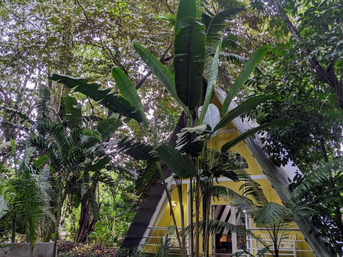 Caribbean Flow Puerto Viejo de Talamanca エクステリア 写真