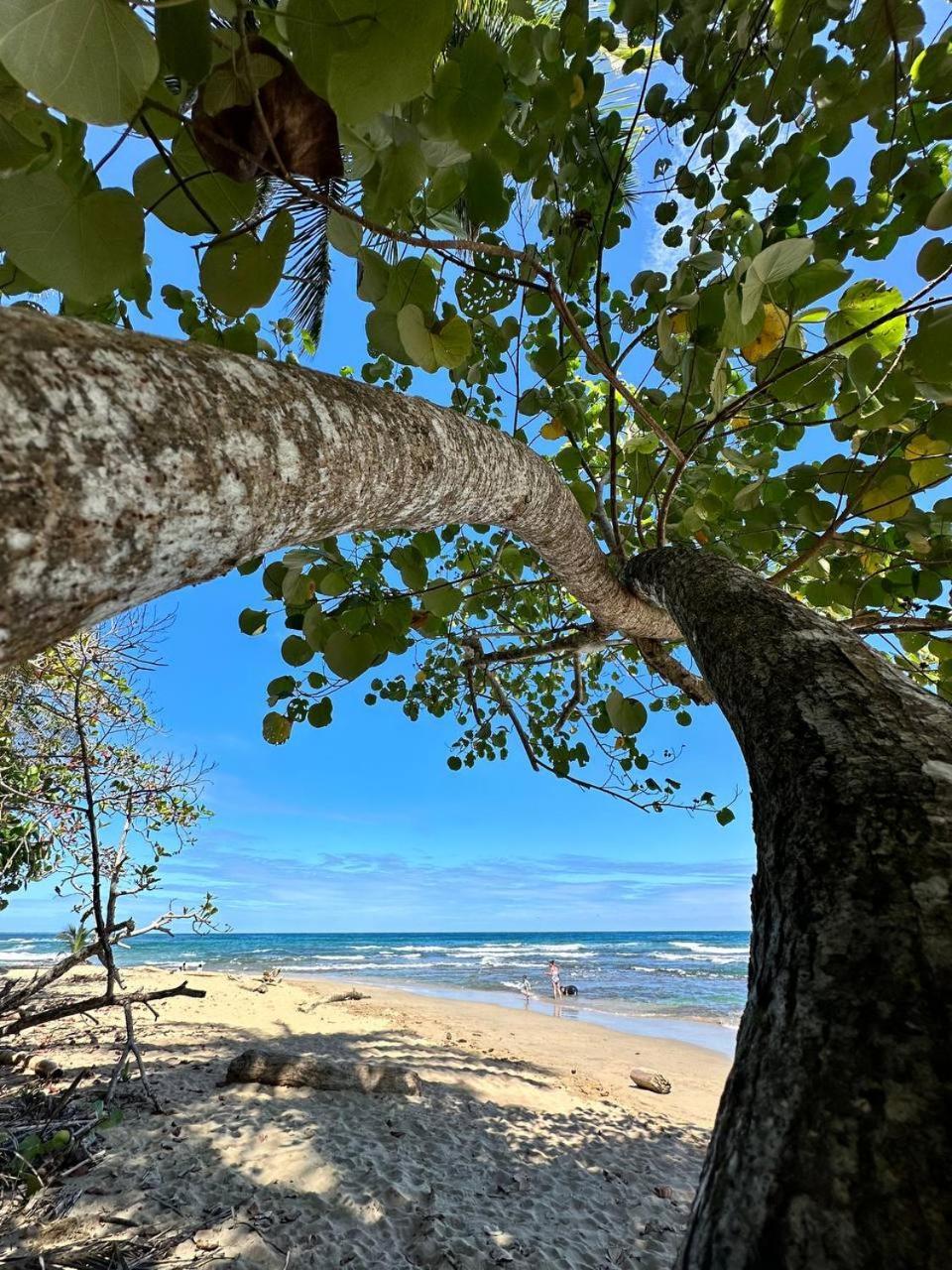 Caribbean Flow Puerto Viejo de Talamanca エクステリア 写真